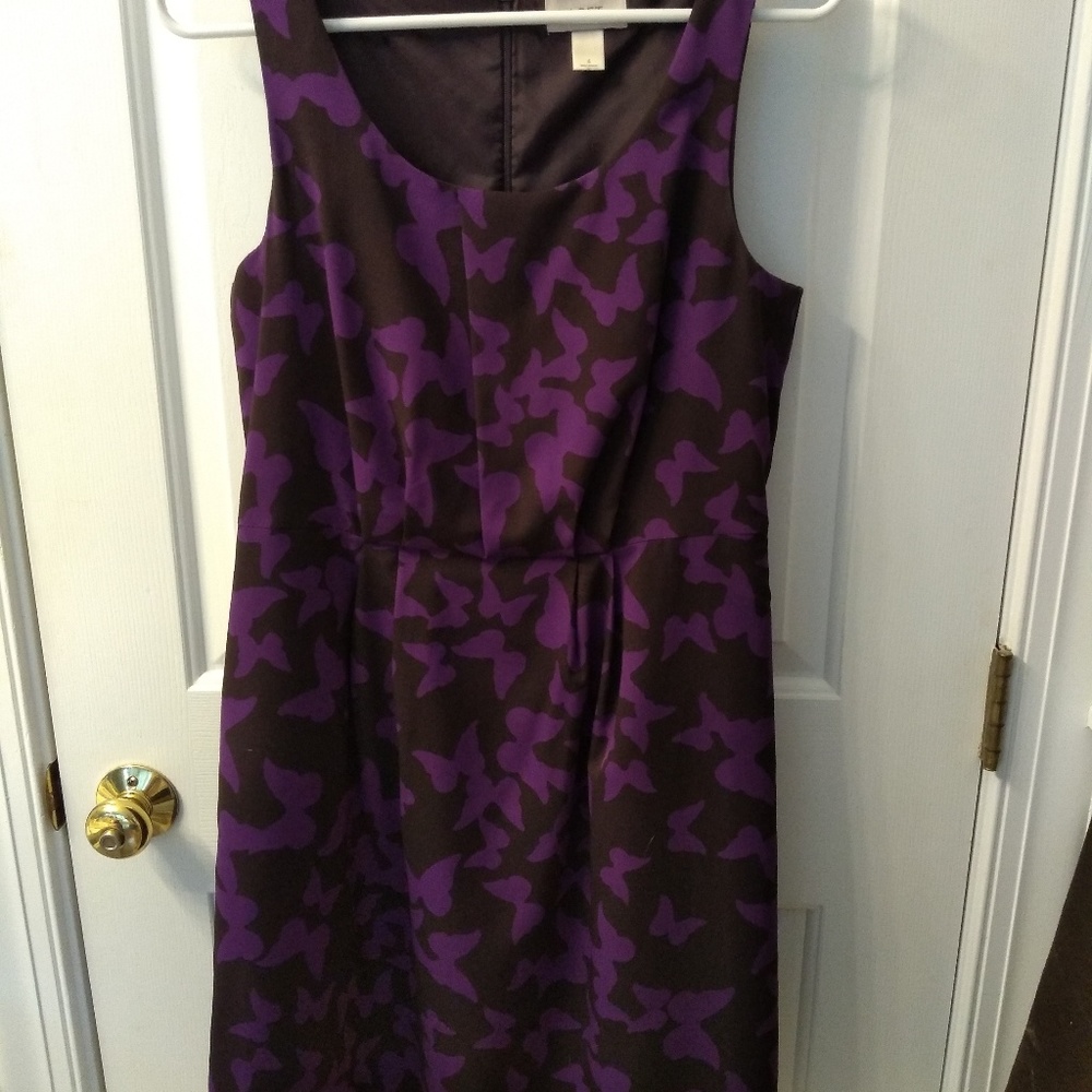 Professional knee length dress